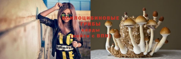 винт Сосновка