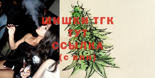 сатива Слюдянка