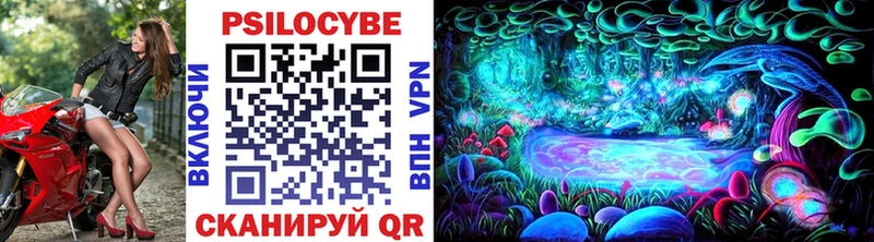 где найти   Ногинск  Галлюциногенные грибы MAGIC MUSHROOMS 