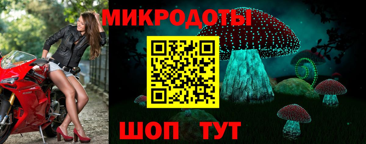 Галлюциногенные грибы Cubensis Ногинск